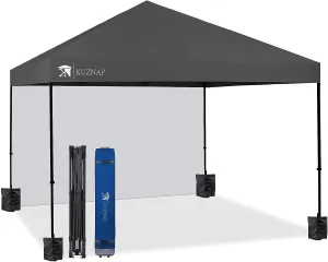 12’x12’ Pop up Canopy Tent Patented EZ Set up Instant Outdoor Canopy with Sidewall Bonus 4 Weight Sandbags, 8 Stakes and 4 Ropes, Grey