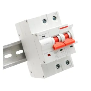 1P 2P 3P 4P TUYA APP Circuit Breaker Timer Voice Remote Control Smart Life Automatic Intelligent InterruptorSwitch(2P,100A)