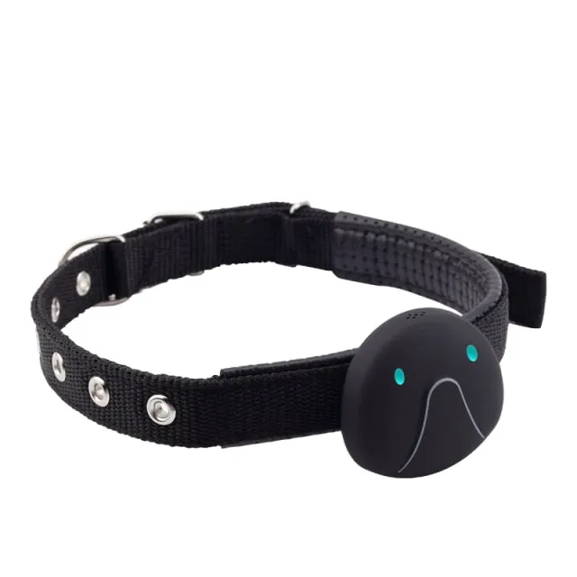 Anti Lost Dog GPS Tracker