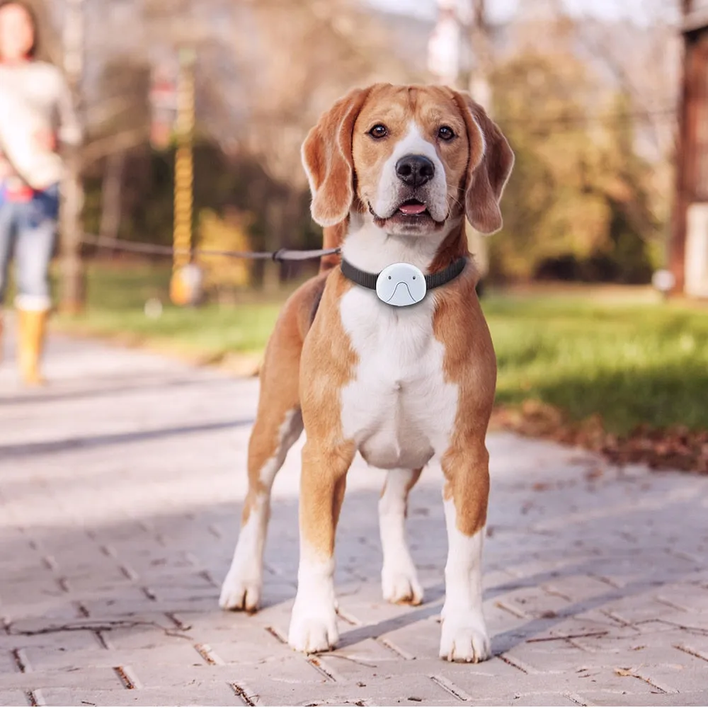 Anti Lost Dog GPS Tracker