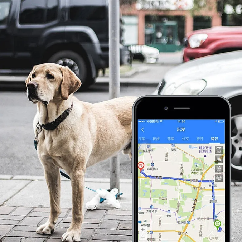 Anti Lost Dog GPS Tracker
