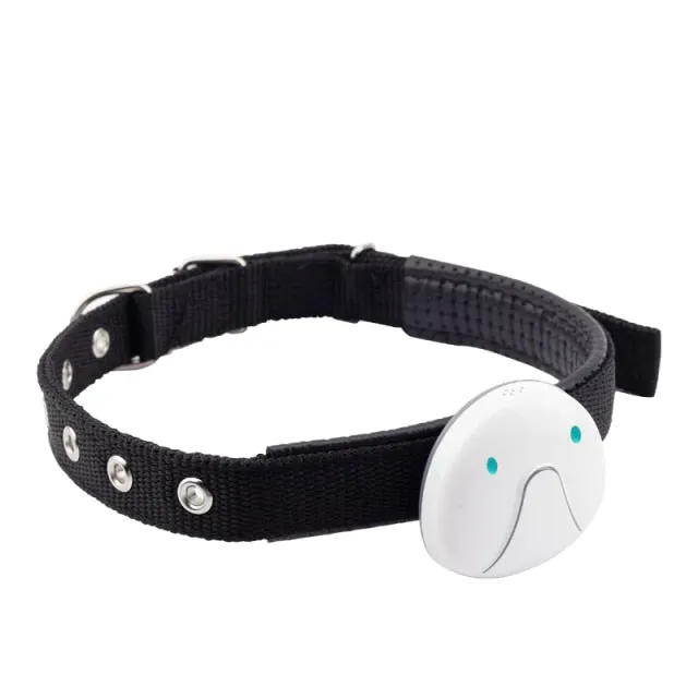 Anti Lost Dog GPS Tracker