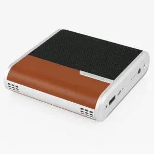 Bridge Speaker Conf Device Brn