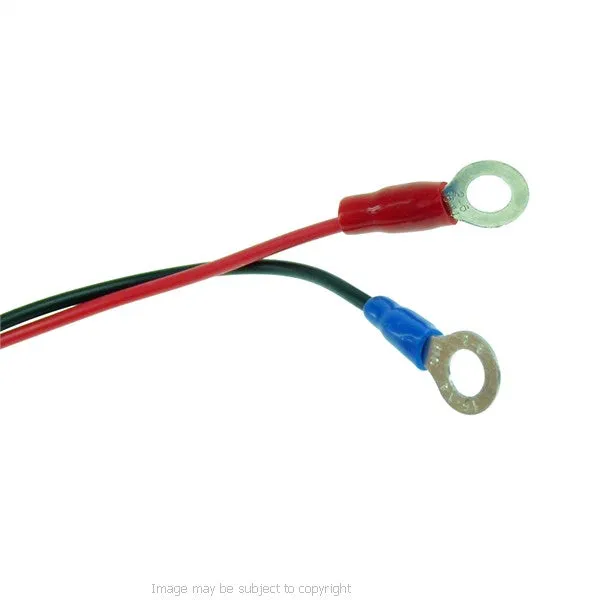 BuyBits High Power Straight Mini USB Motorcycle Hard Wire Charger for Garmin Nuvi - Streetpilot GPS Satnav (sku 21555)