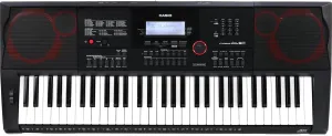 Casio CT-X3000 61-Key Portable Arranger Keyboard with 800 Tones, 235 Rhythms, 17-Track Recorder, USB, 12W Speaker System, Aux In, Headphone Out, Power Supply (CT-X3000)