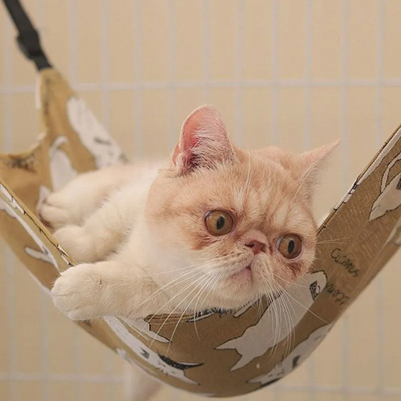 Cat Hammock 3 Color Summer Double Sided Bed