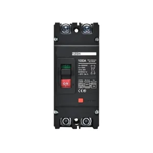 DC Circuit Breaker 63/80/100/125Amp 2P 25kA Capacity Siver Contact High Voltage 36-600V Photovoltaic Solar Panel Battery Protect(63A)