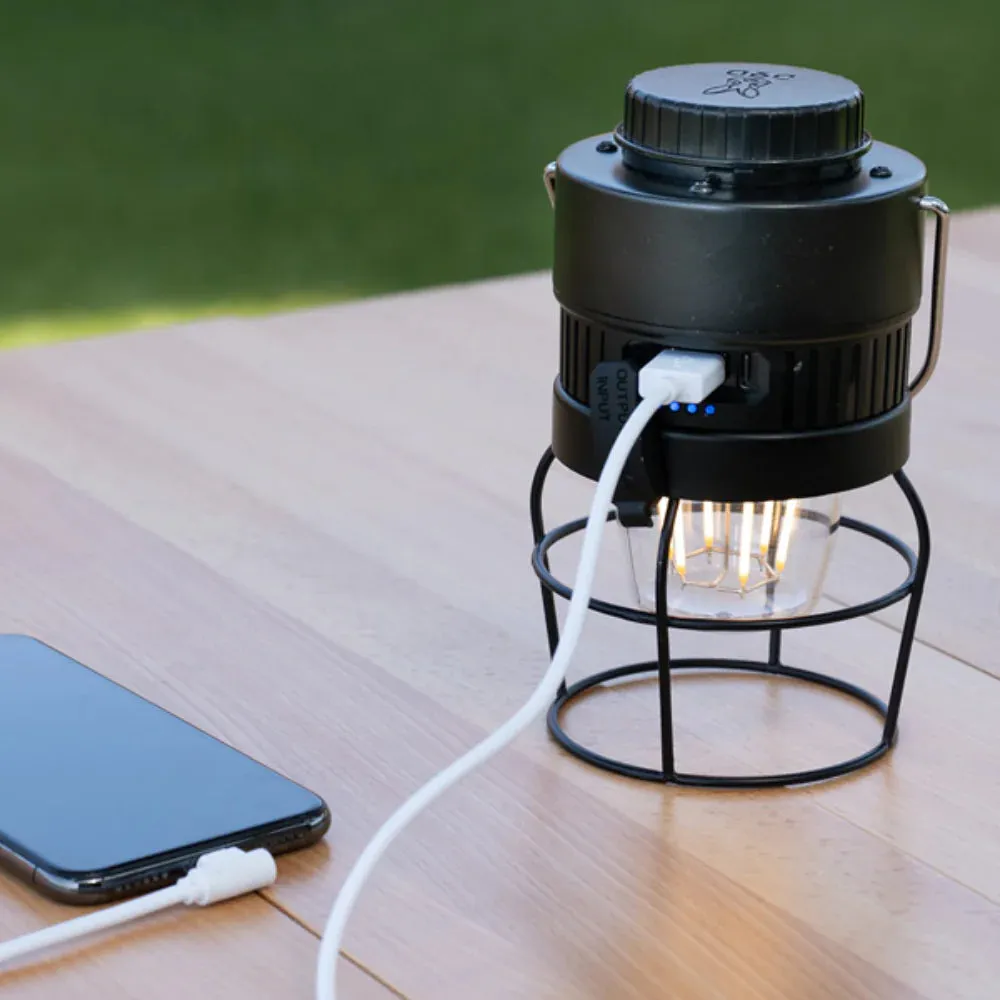DoD Look At My Butt Lighting Lantern - Tan
