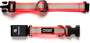 Dog Collar, Fi Series 3 Ready, Large, Reflective Pink - Compatible with Fi GPS Device (Not Included)
