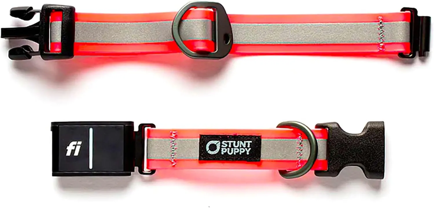 Dog Collar, Fi Series 3 Ready, Large, Reflective Pink - Compatible with Fi GPS Device (Not Included)
