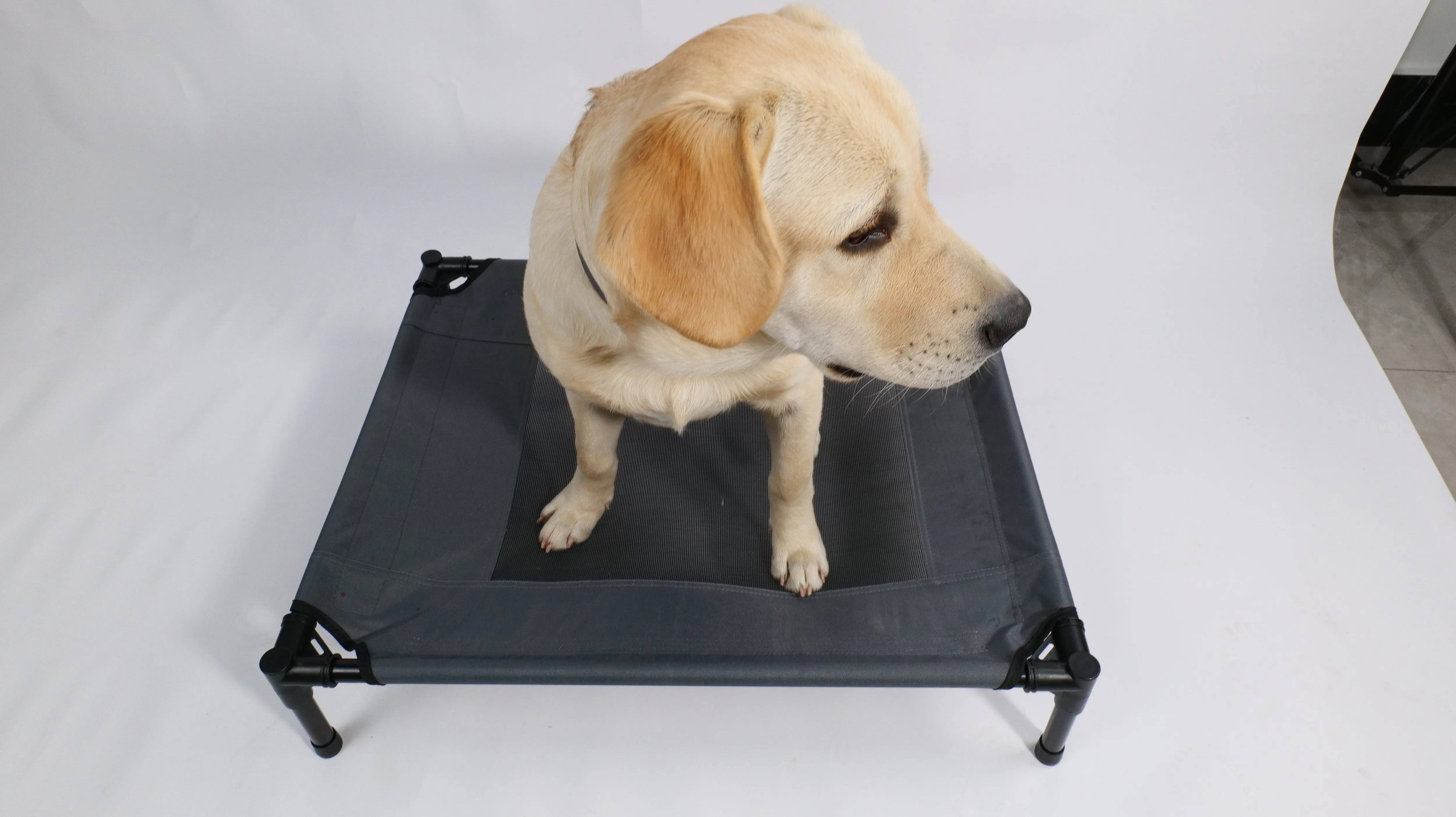 ELEVATED Pet Bed Grey