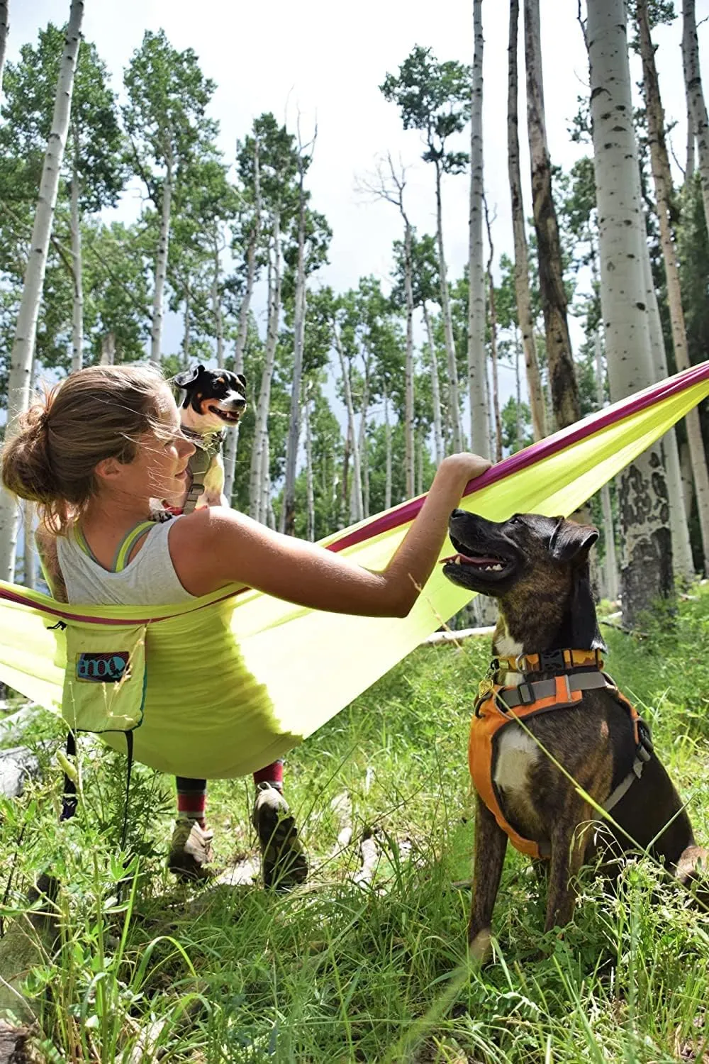 ENO SingleNest Hammock - Lightweight, 1 Person Portable Hammock - for Camping, Hiking, Backpacking, Travel, a Festival, or The Beach - Navy/Royal