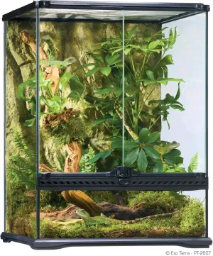Exo Terra Glass Natural Terrarium Kit, for Reptiles and Amphibians, Small Tall, 18 x 18 x 24 Inches, PT2607A1