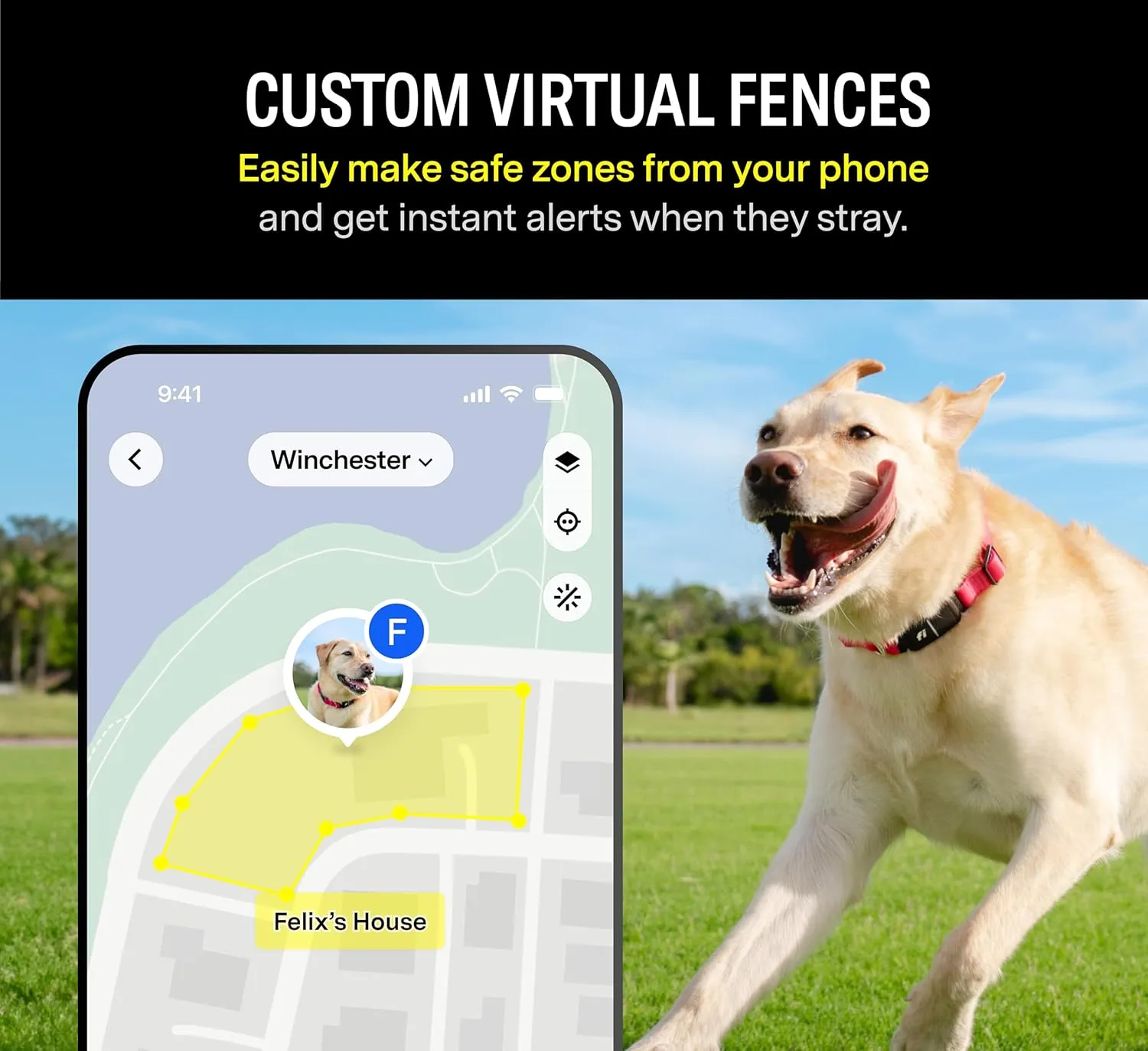 Fi Series 3 Smart Dog Collar - GPS Dog Tracker and Activity & Fitness Monitor, Waterproof, LED Light, Escape Alerts, Nationwide Coverage [Free 6 Month Membership] (Yellow, Large)