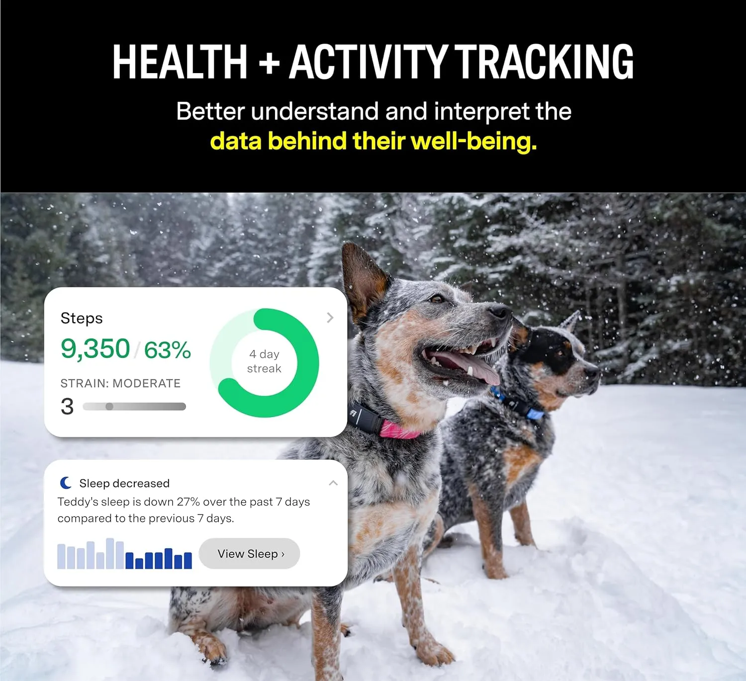 Fi Series 3 Smart Dog Collar - GPS Dog Tracker and Activity & Fitness Monitor, Waterproof, LED Light, Escape Alerts, Nationwide Coverage [Free 6 Month Membership] (Yellow, Large)
