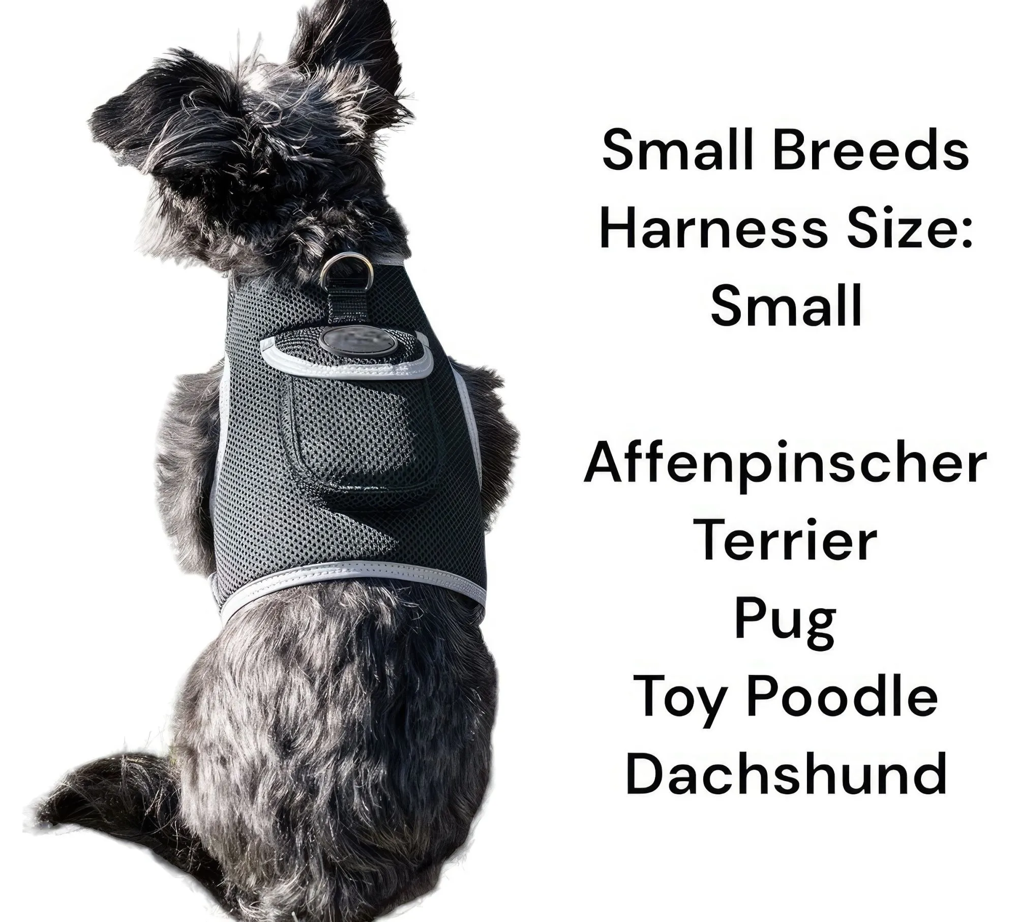 GPS Rechargeable Pet Tracker - Real-time Surveillance System