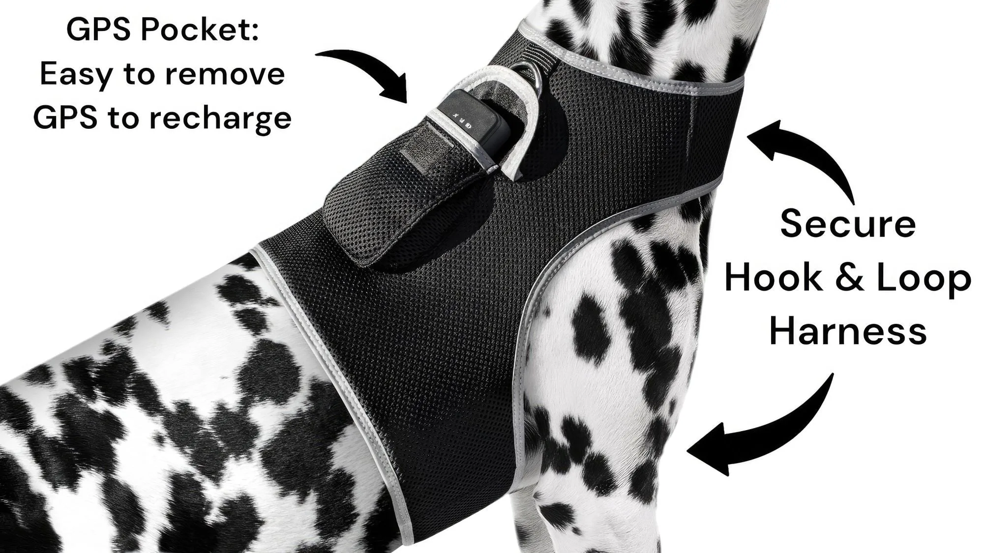 GPS Rechargeable Pet Tracker - Real-time Surveillance System