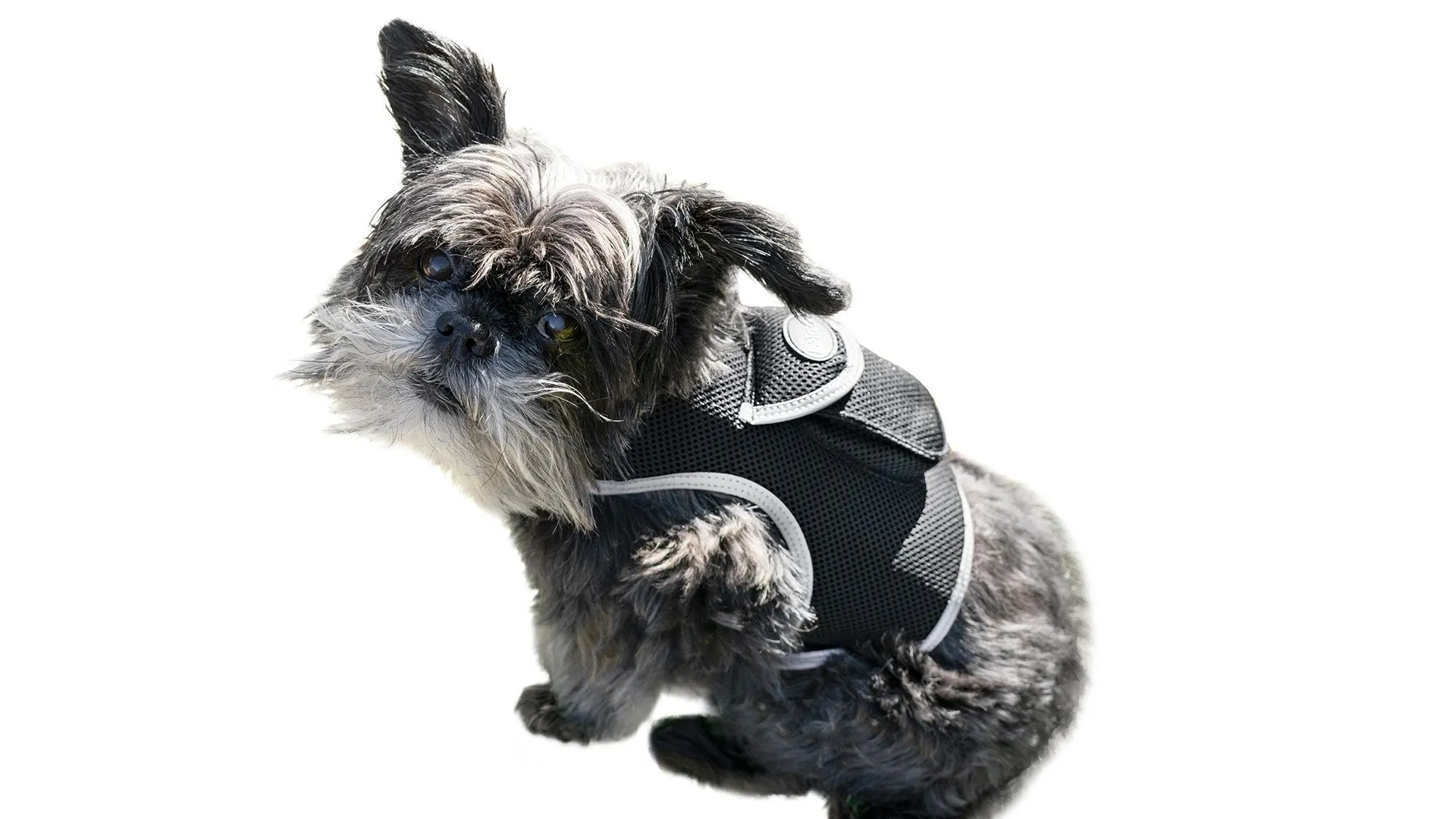 GPS Rechargeable Pet Tracker - Real-time Surveillance System