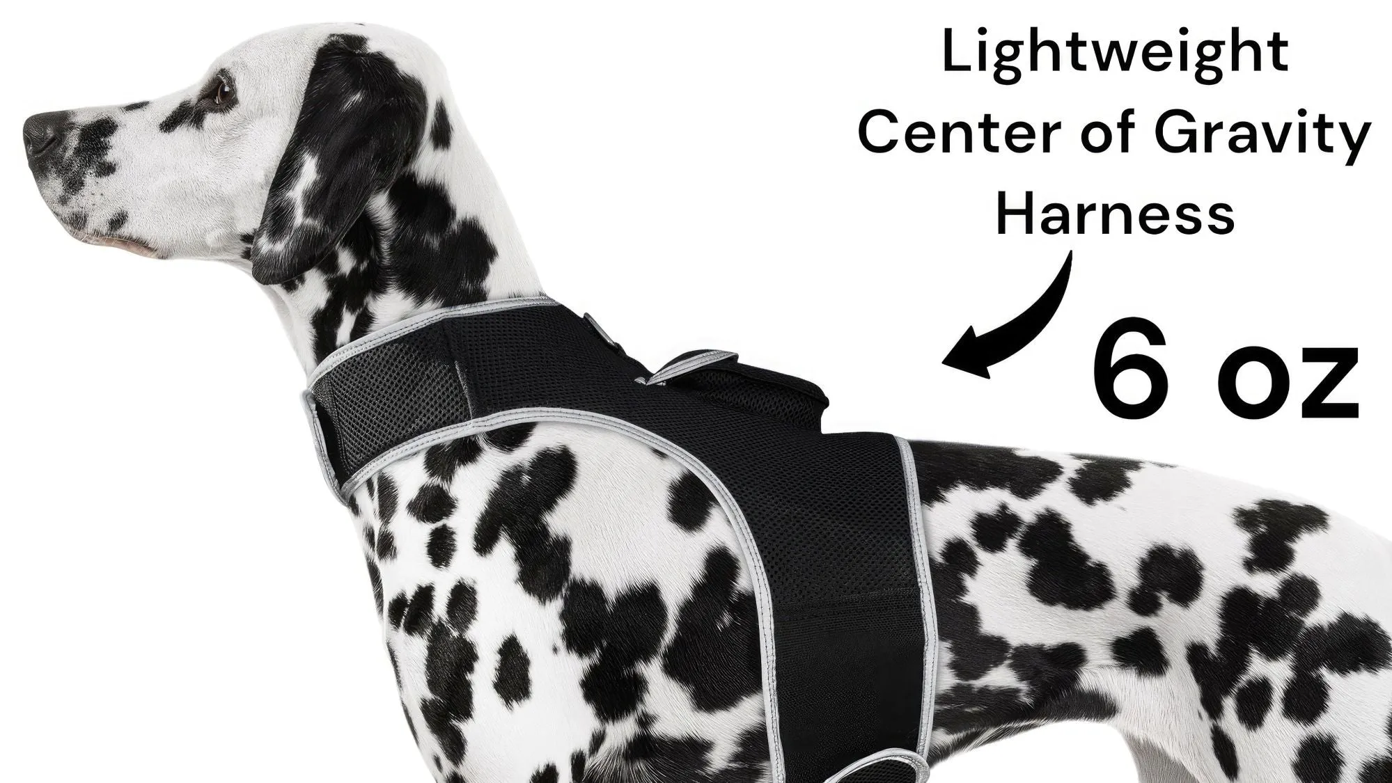 GPS Rechargeable Pet Tracker - Real-time Surveillance System