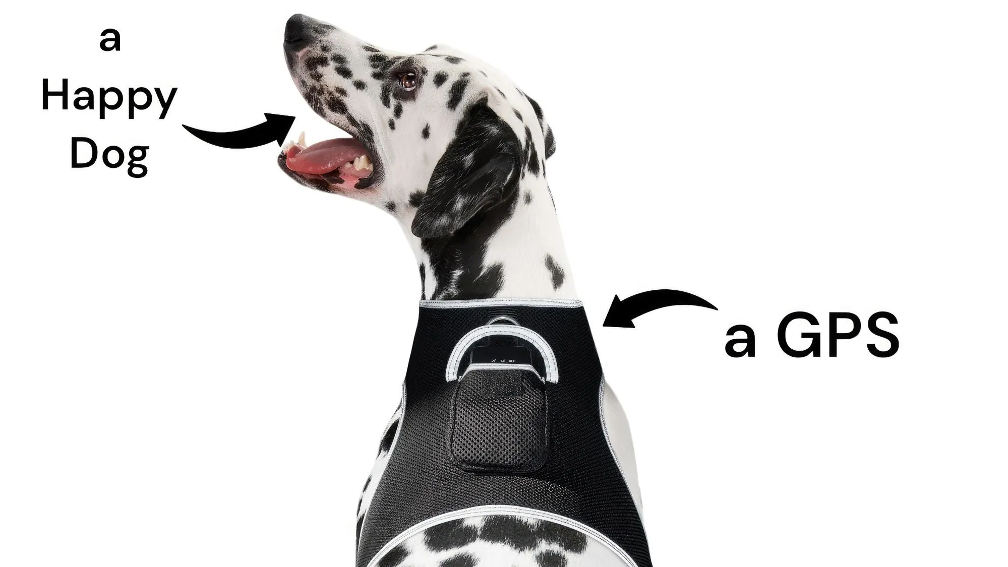 GPS Rechargeable Pet Tracker - Real-time Surveillance System