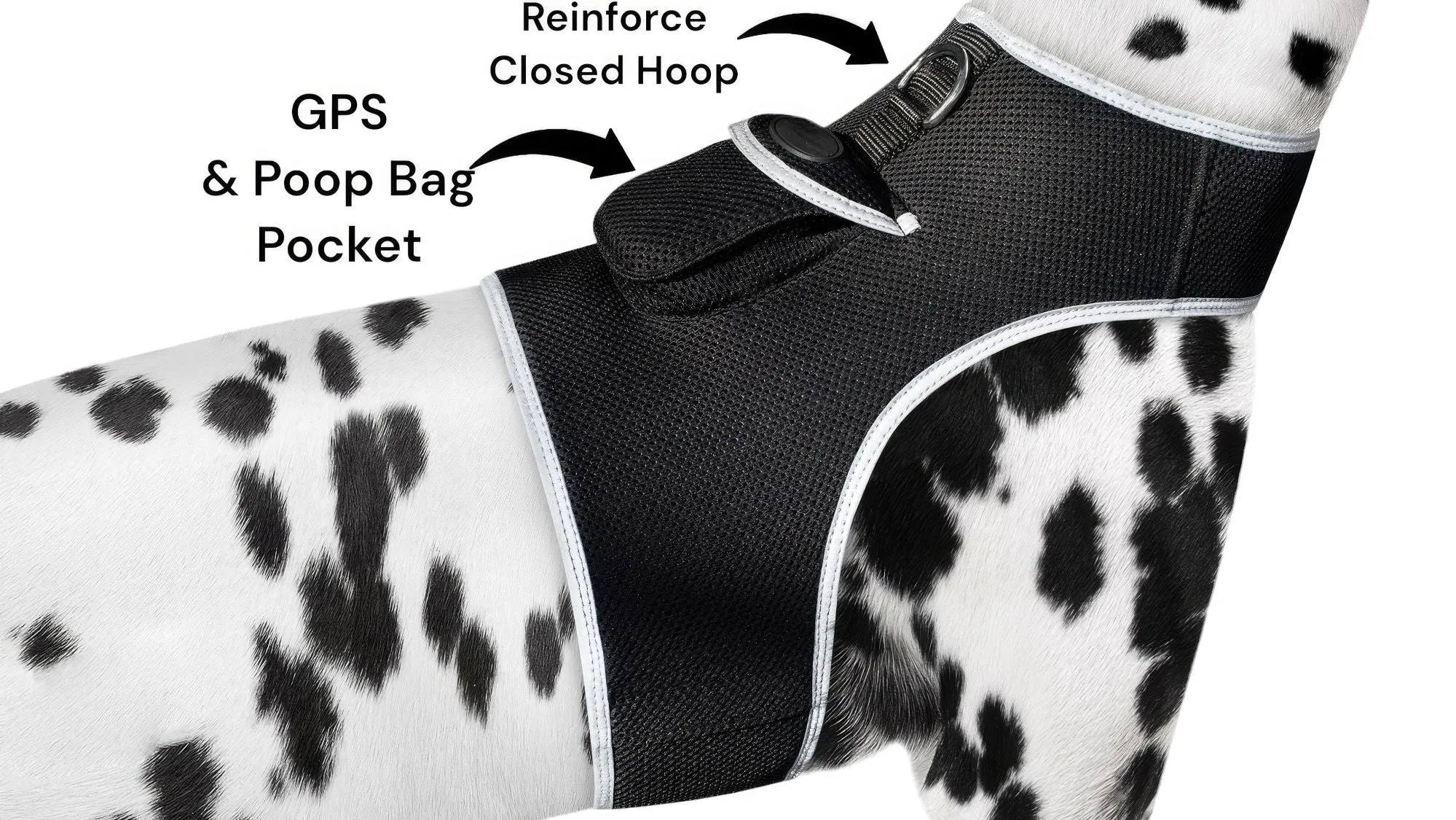 GPS Rechargeable Pet Tracker - Real-time Surveillance System