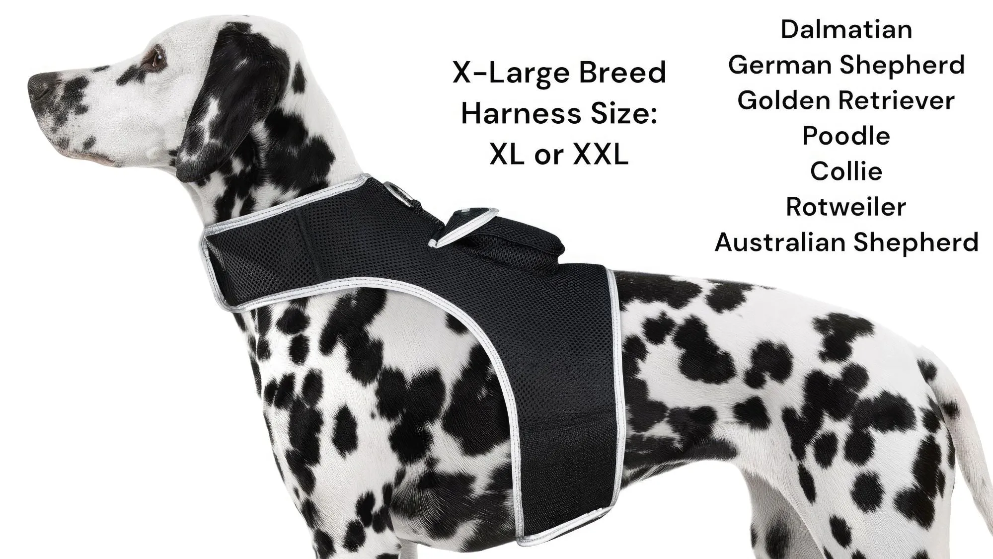 GPS Rechargeable Pet Tracker - Real-time Surveillance System