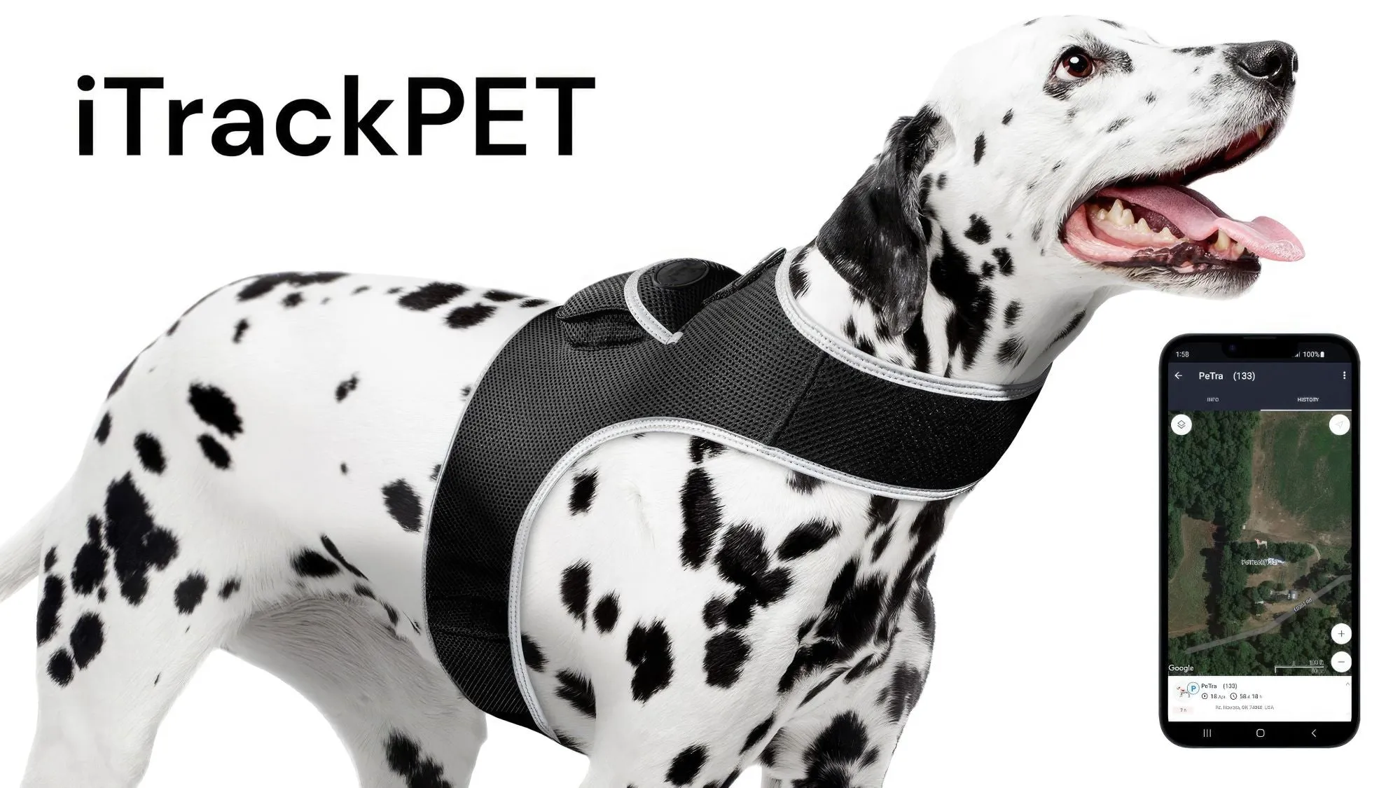 GPS Rechargeable Pet Tracker - Real-time Surveillance System
