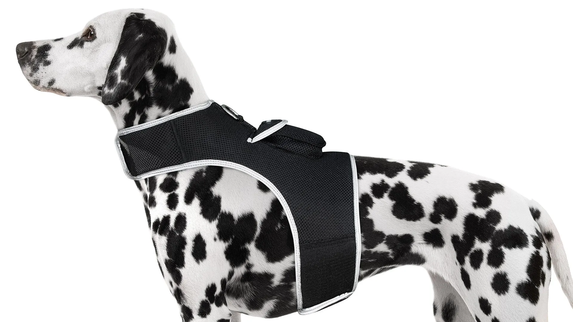 GPS Rechargeable Pet Tracker - Real-time Surveillance System