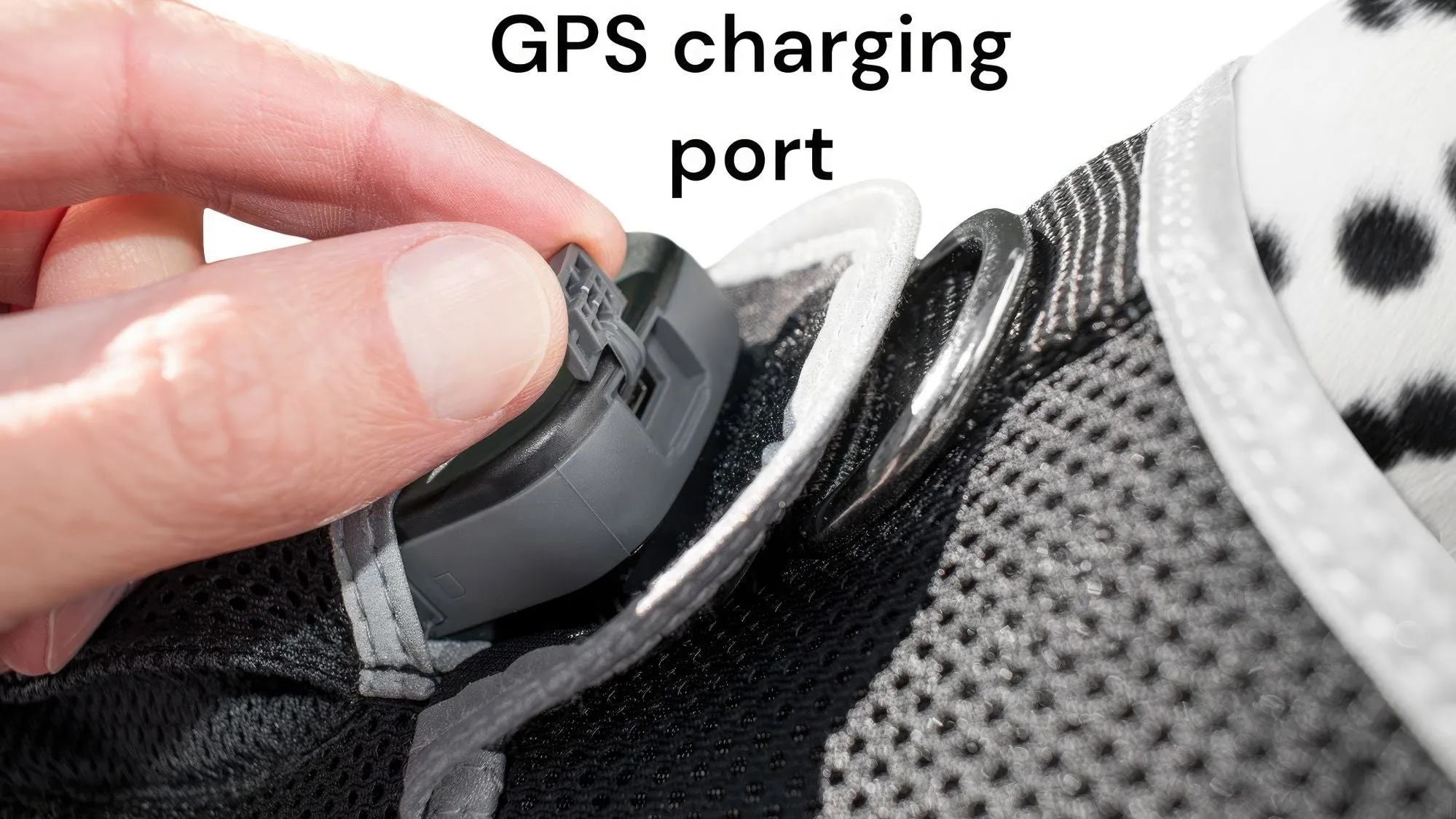 GPS Rechargeable Pet Tracker - Real-time Surveillance System