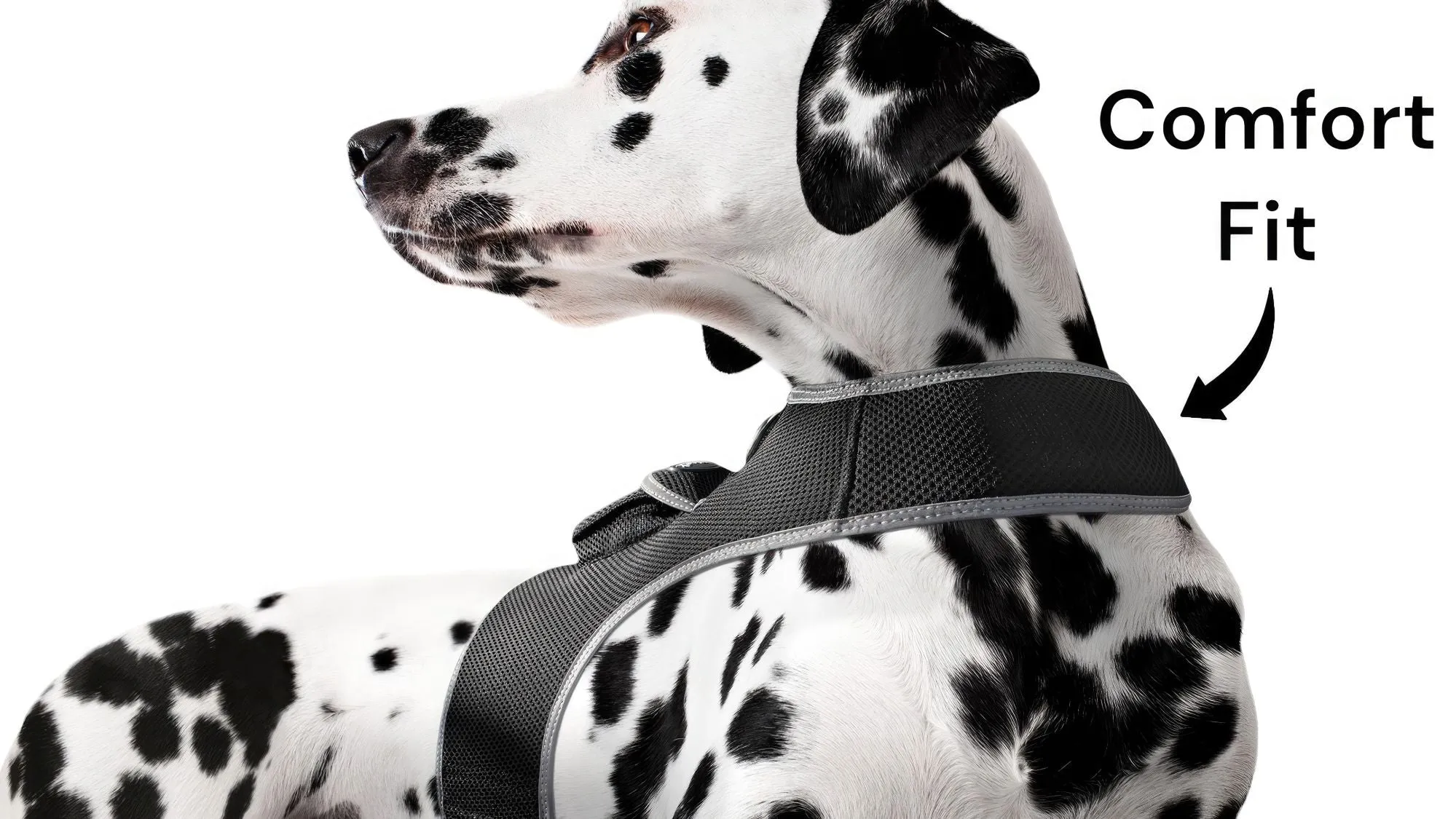 GPS Rechargeable Pet Tracker - Real-time Surveillance System