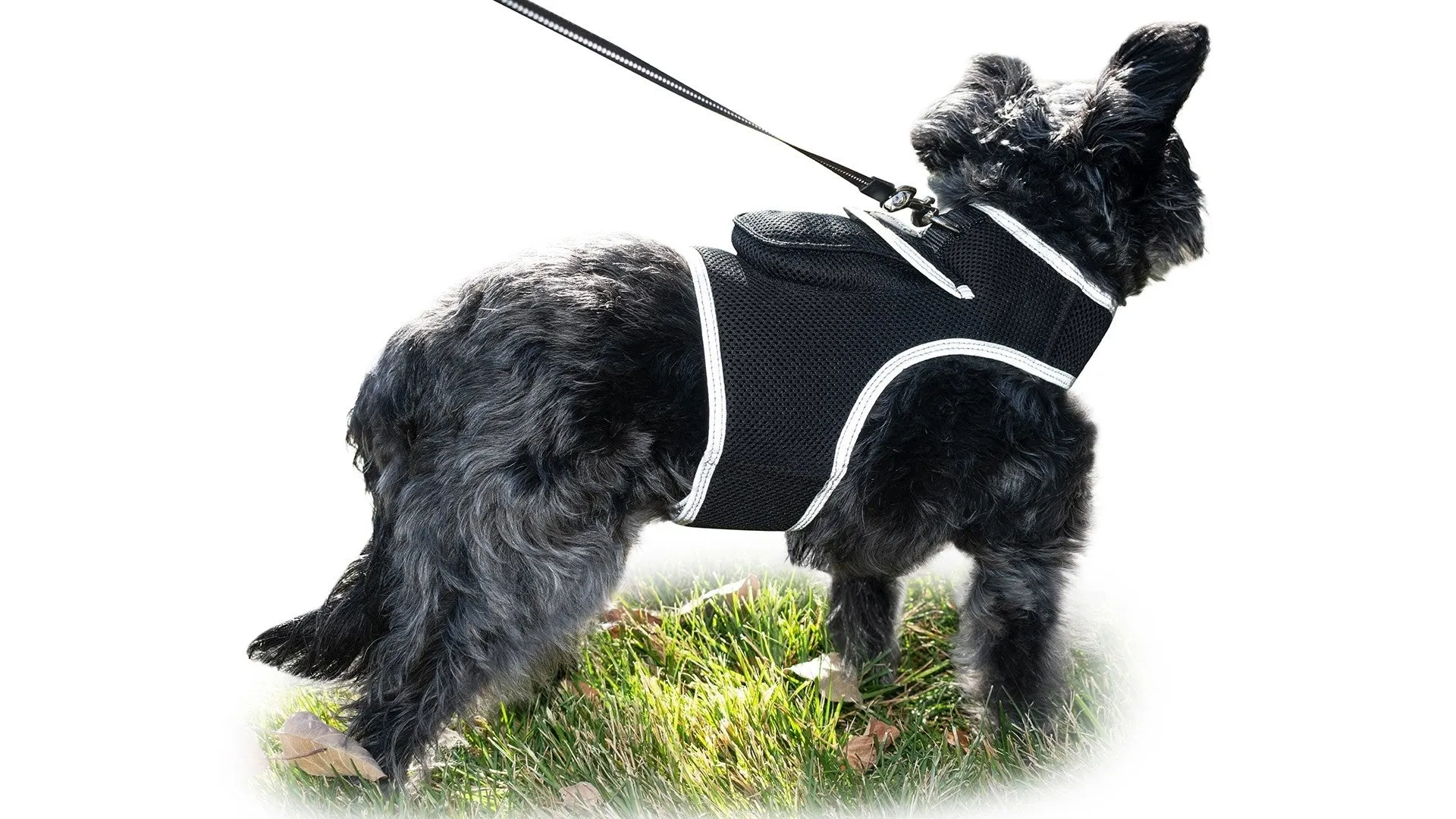 GPS Rechargeable Pet Tracker - Real-time Surveillance System
