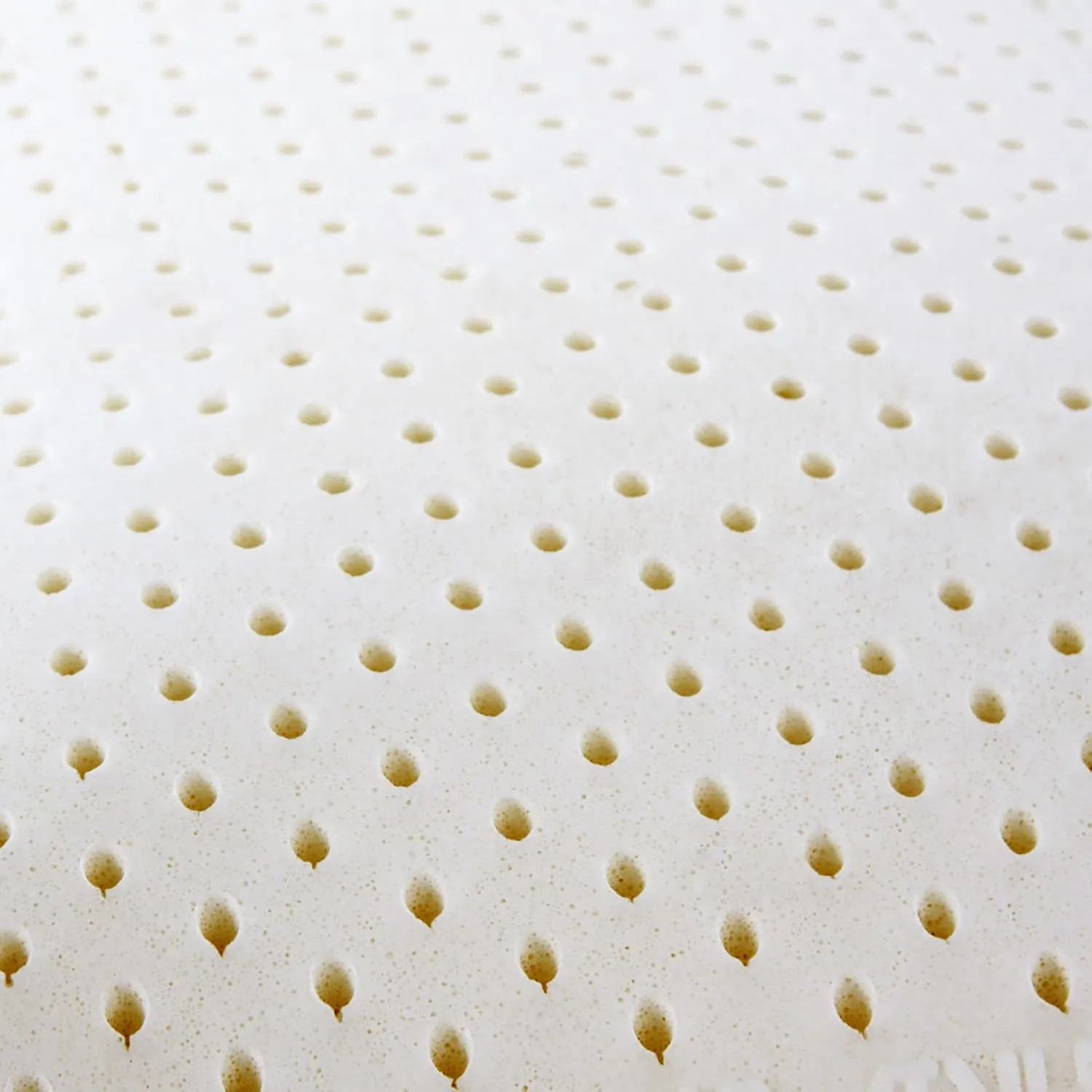 I AM Natural Talalay Latex Medium Support Bed Pillow for Sleeping, Removable and Breathable 100% Cotton Cover, White