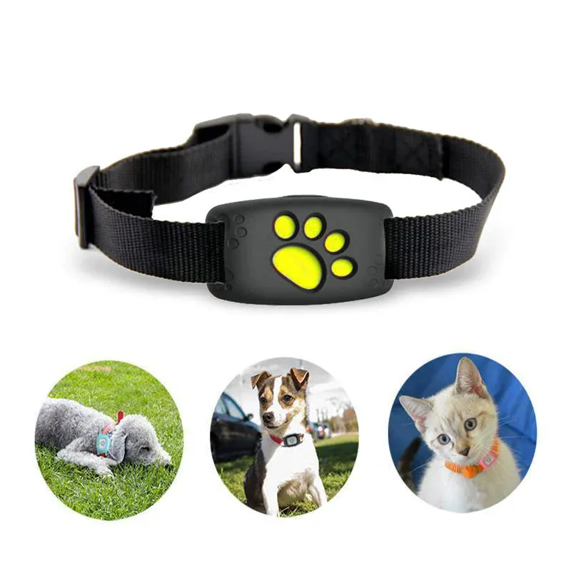 Luxora Smart GPS Cat Collar with Real-Time Tracking