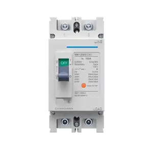 Molded Case Circuit Breaker MCCB NM1-125S 250S/2300 2P 40A 63A 80A 100A 125A 160A 200A 250A(25A)