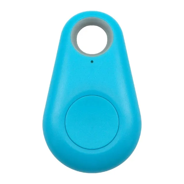 Pet GPS Tag - Pawfinder