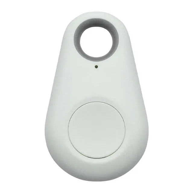 Pet GPS Tag - Pawfinder