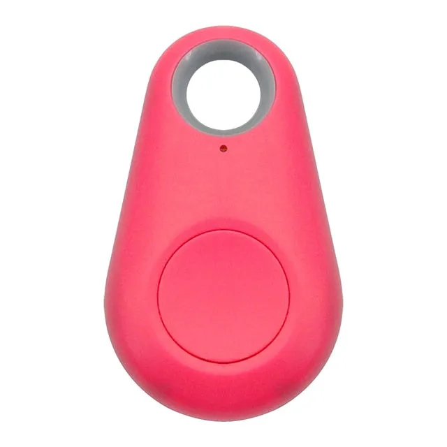 Pet GPS Tag - Pawfinder