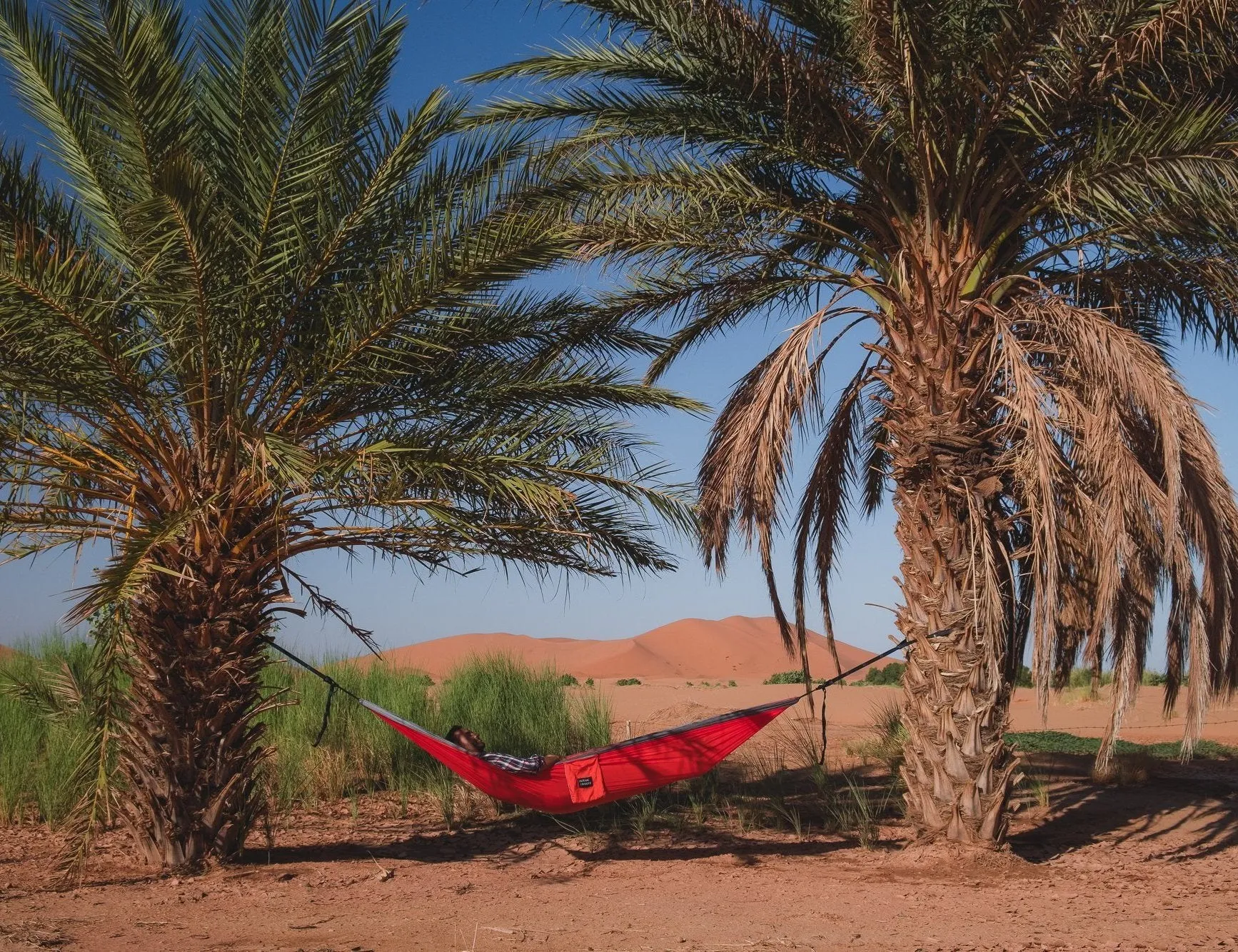 Red/Gray Hammock