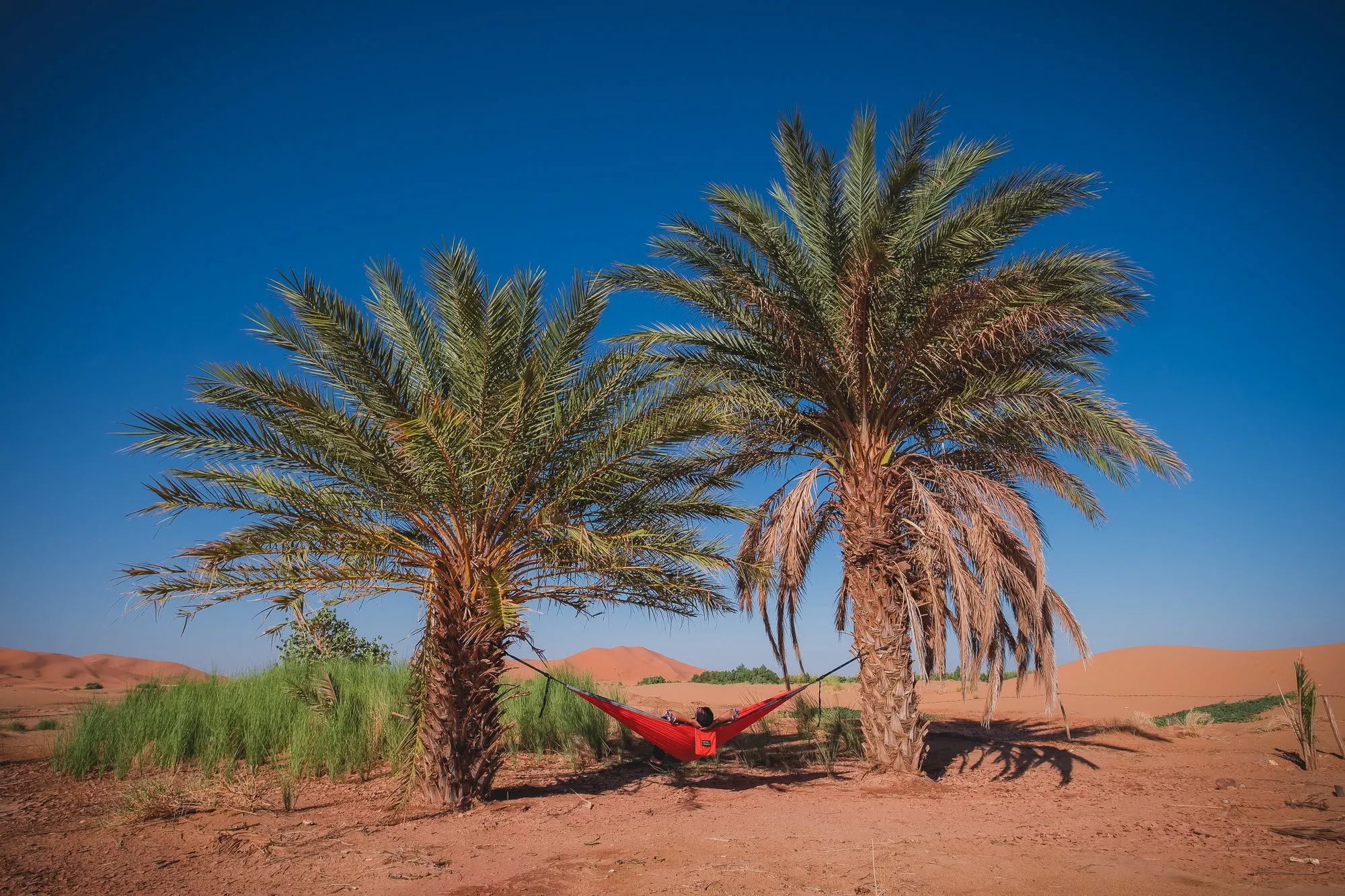 Red/Gray Hammock