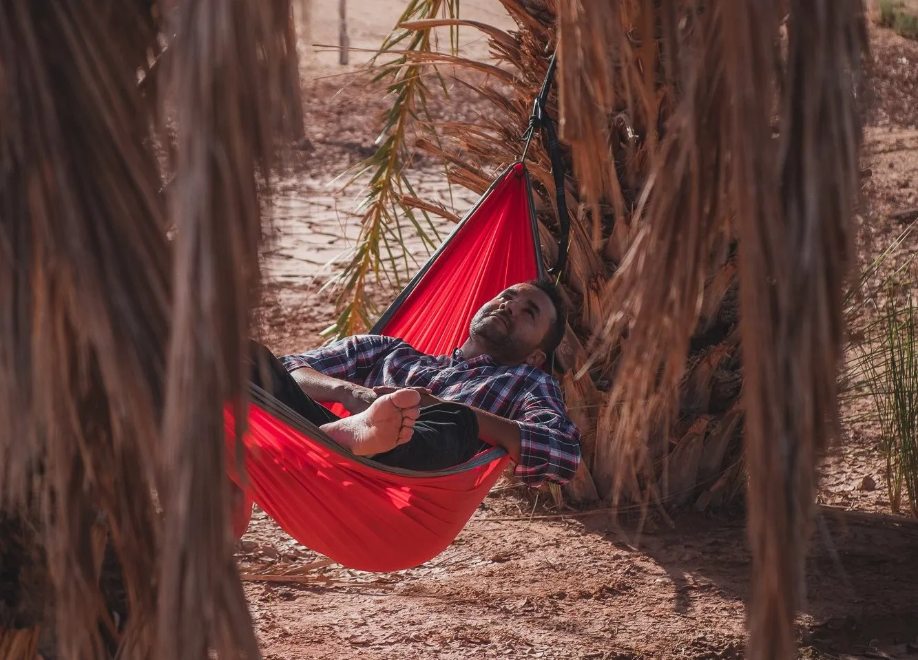 Red/Gray Hammock