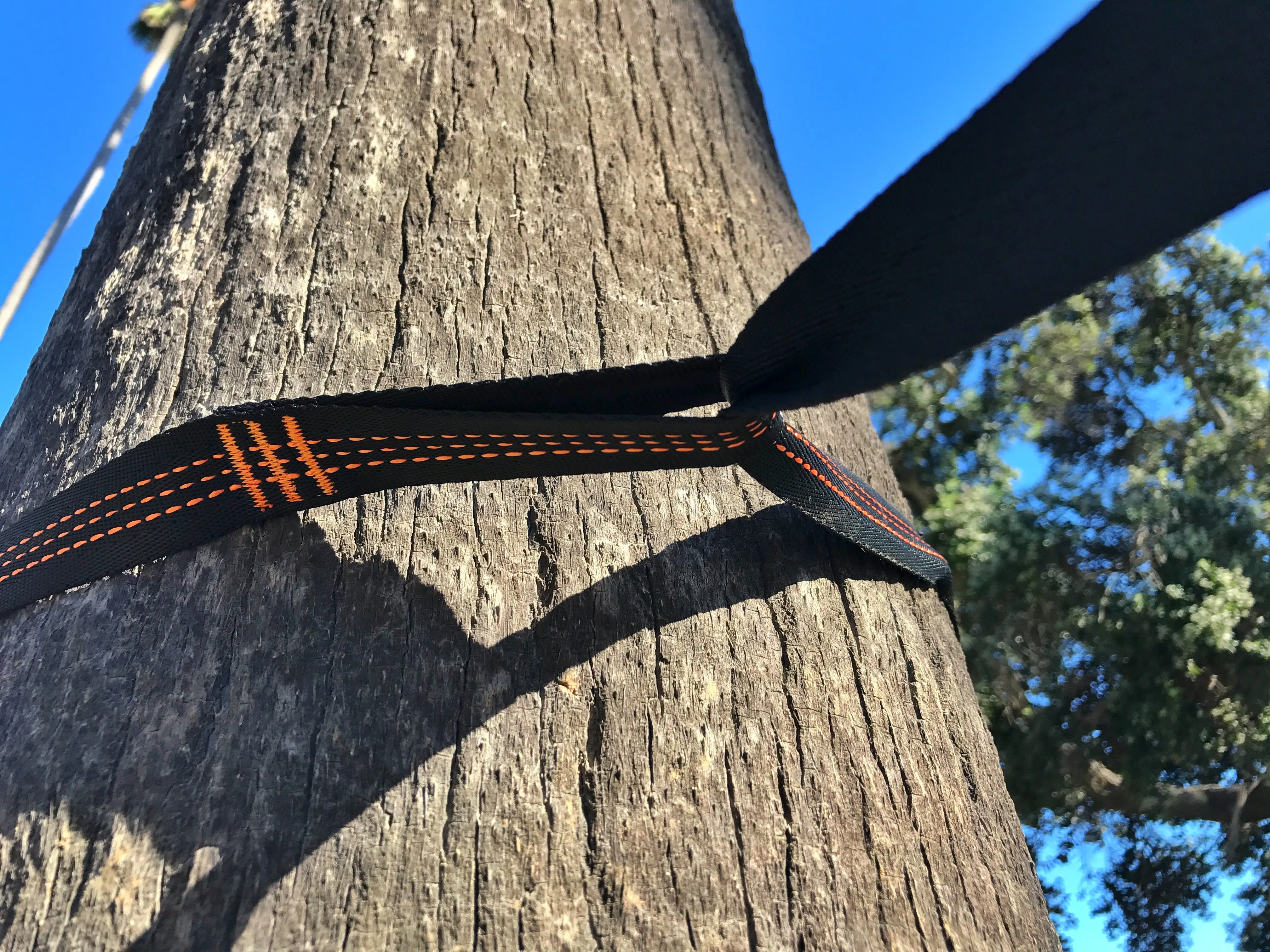 Red/Gray Hammock