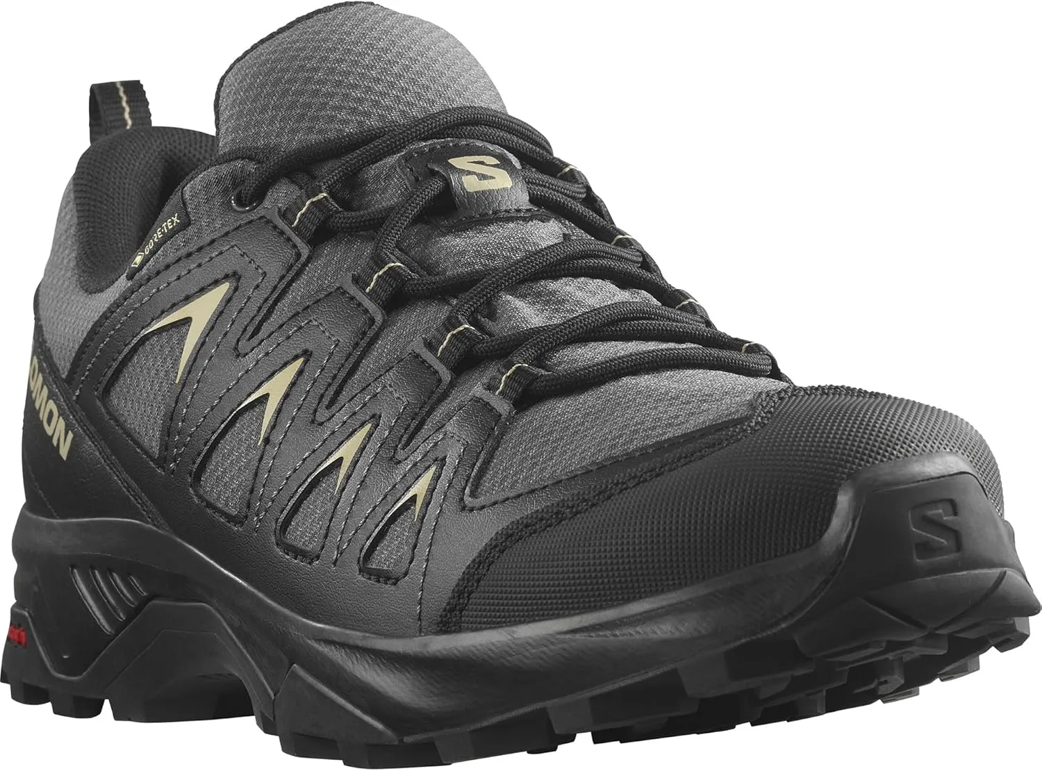 Salomon Men's X Braze GTX Hiking Shoe