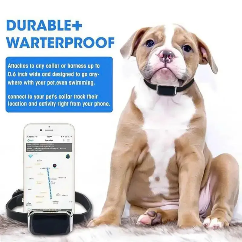 Smart Collar Waterproof Pet Locator