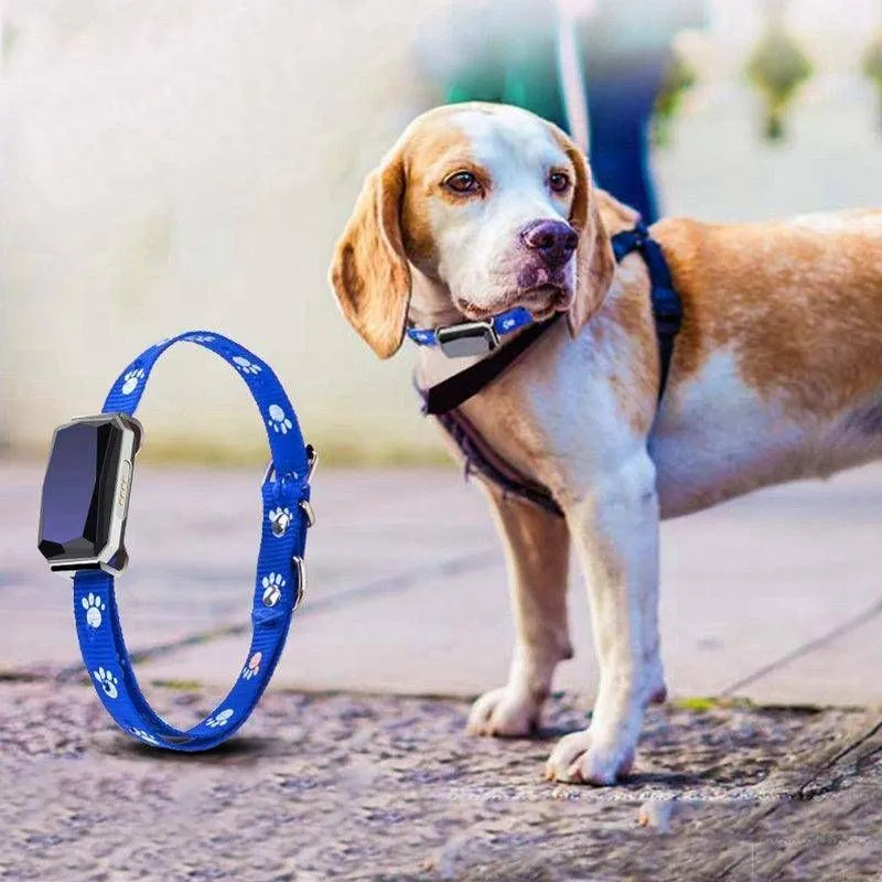 Smartpaws GPS Pet Tracker – Real-Time Location, Safe Zone Alerts & Long Battery Life