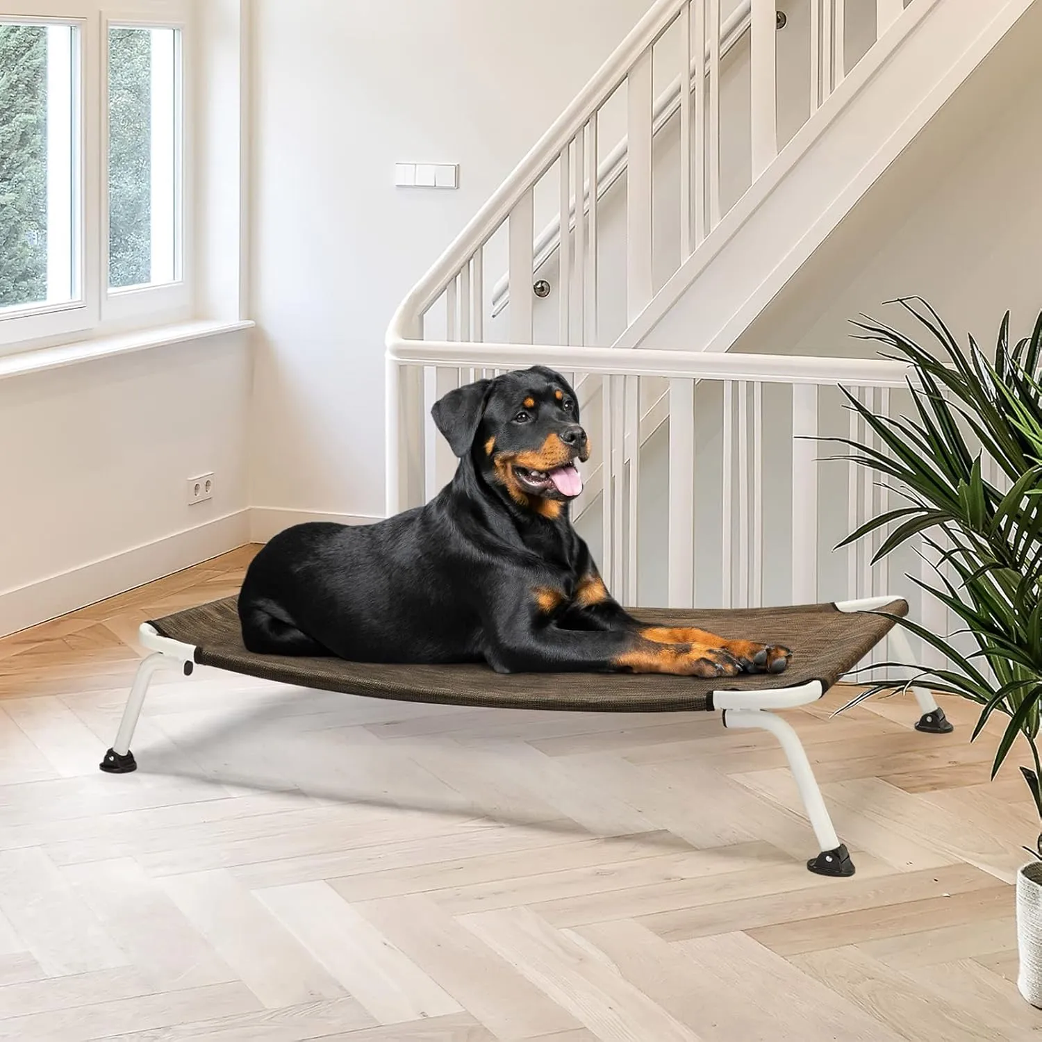 Veehoo Outdoor Elevated Dog Cot, Curved Raised Cooling Dog Cots Bed Off Ground Portable Lifted Pet Hammock Bed Cot with Breathable Teslin Mesh for Indoor Outdoor, up to 150lbs, Brown 49"