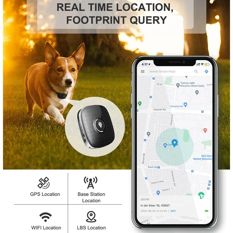 Waterproof 4G Dog GPS Tracker