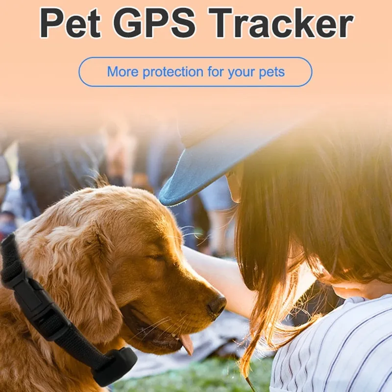 Waterproof 4G Dog GPS Tracker