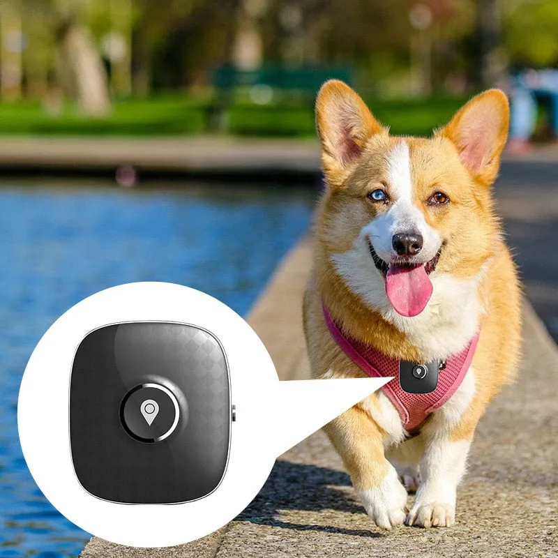 Waterproof 4G Dog GPS Tracker